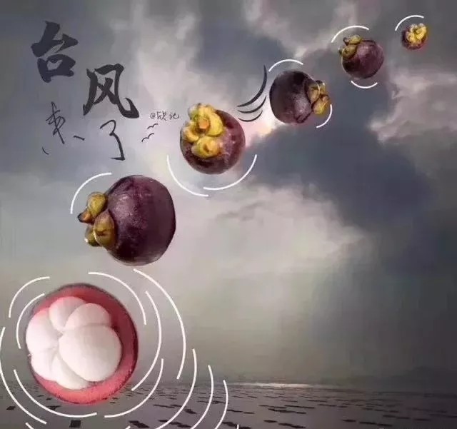 臺風無情人有情，應(yīng)對臺風“山竹”，我們團結(jié)一心。