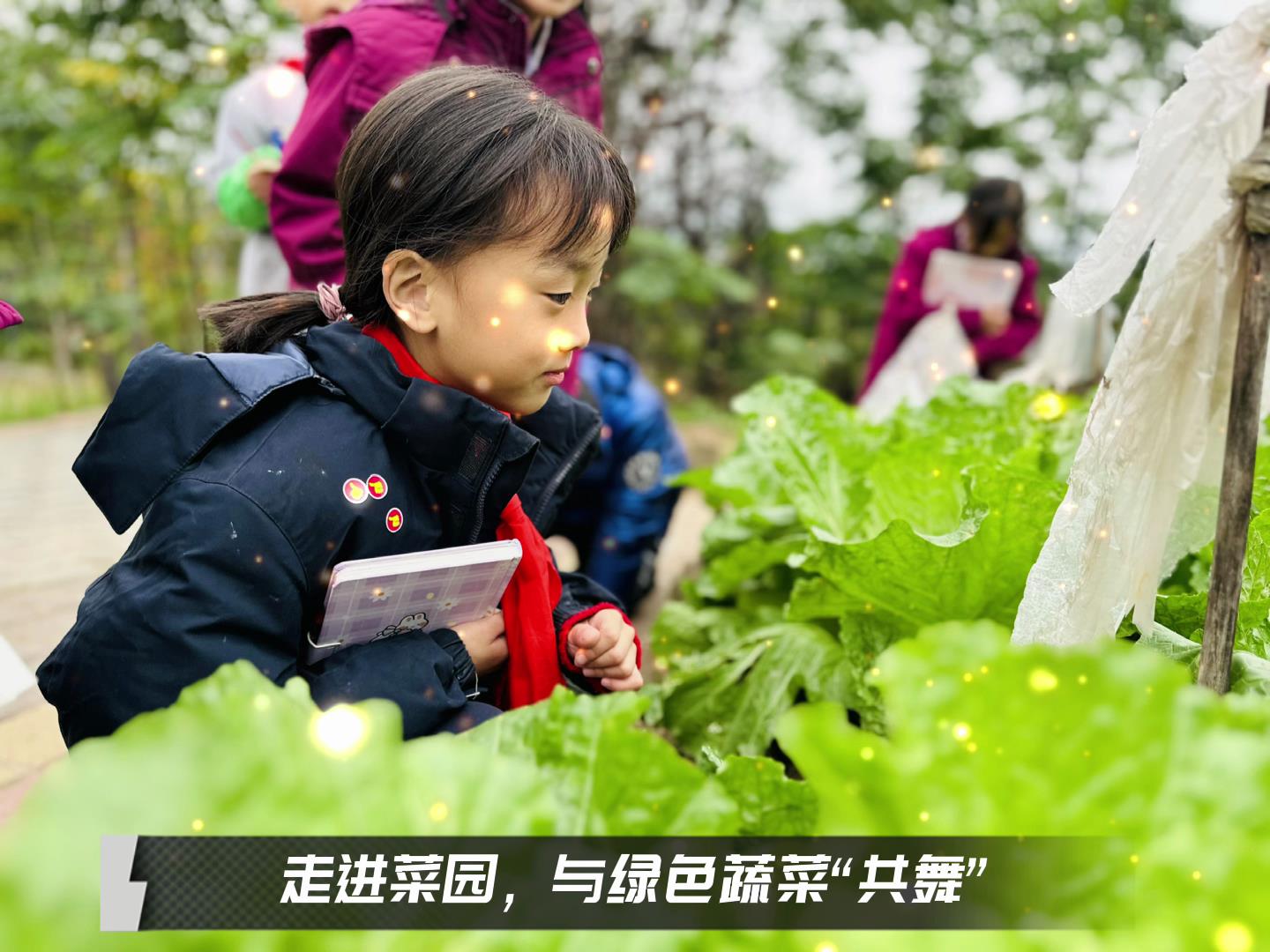 美好學校|留校時光，走出教室，與綠色蔬菜共舞